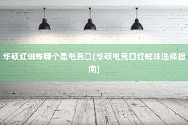 华硕红蜘蛛哪个是电竞口(华硕电竞口红蜘蛛选择指南)