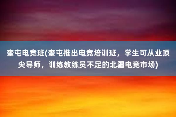 奎屯电竞班(奎屯推出电竞培训班，学生可从业顶尖导师，训练教练员不足的北疆电竞市场)