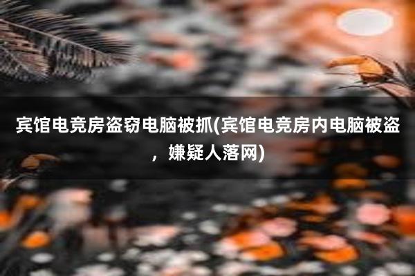 宾馆电竞房盗窃电脑被抓(宾馆电竞房内电脑被盗，嫌疑人落网)