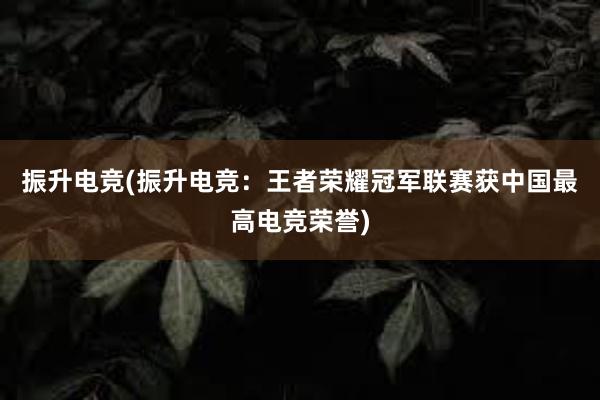 振升电竞(振升电竞：王者荣耀冠军联赛获中国最高电竞荣誉)