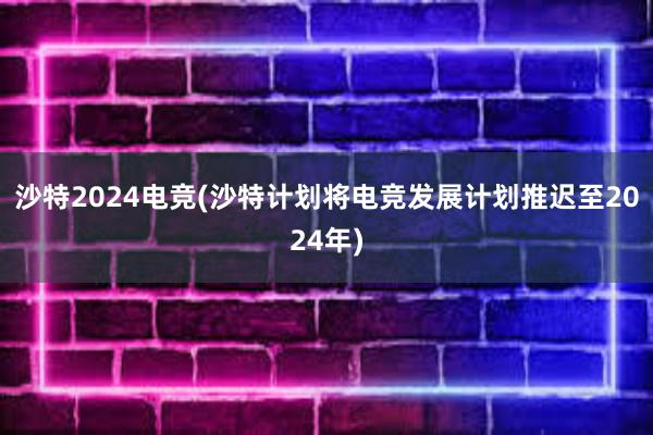 沙特2024电竞(沙特计划将电竞发展计划推迟至2024年)