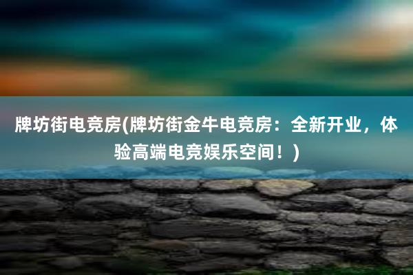 牌坊街电竞房(牌坊街金牛电竞房：全新开业，体验高端电竞娱乐空间！)