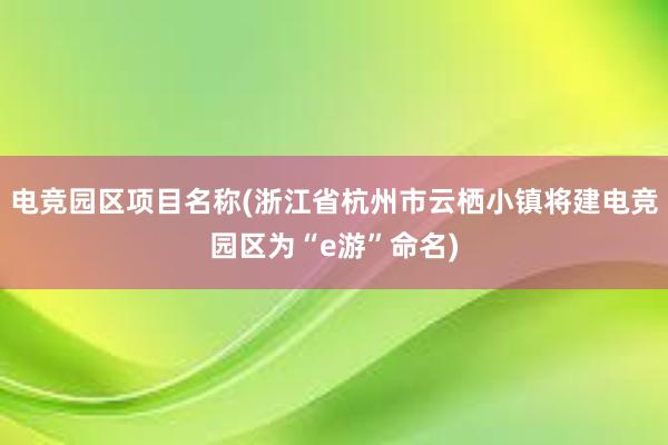 电竞园区项目名称(浙江省杭州市云栖小镇将建电竞园区为“e游”命名)