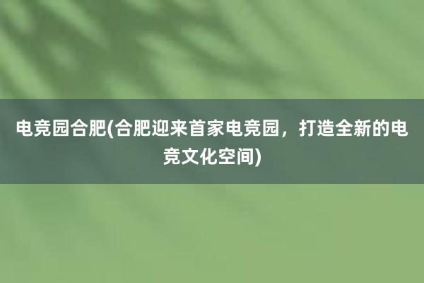 电竞园合肥(合肥迎来首家电竞园，打造全新的电竞文化空间)