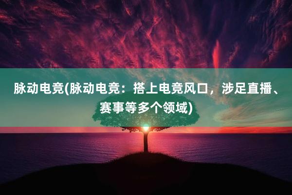 脉动电竞(脉动电竞：搭上电竞风口，涉足直播、赛事等多个领域)