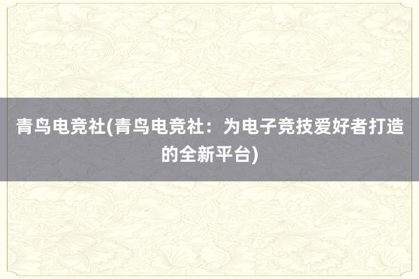 青鸟电竞社(青鸟电竞社：为电子竞技爱好者打造的全新平台)