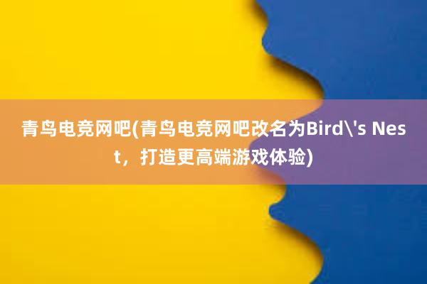 青鸟电竞网吧(青鸟电竞网吧改名为Bird's Nest，打造更高端游戏体验)