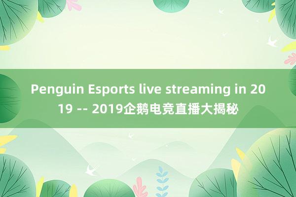 Penguin Esports live streaming in 2019 -- 2019企鹅电竞直播大揭秘