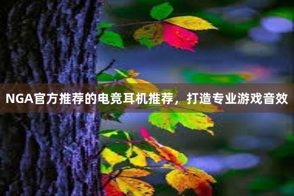 NGA官方推荐的电竞耳机推荐，打造专业游戏音效