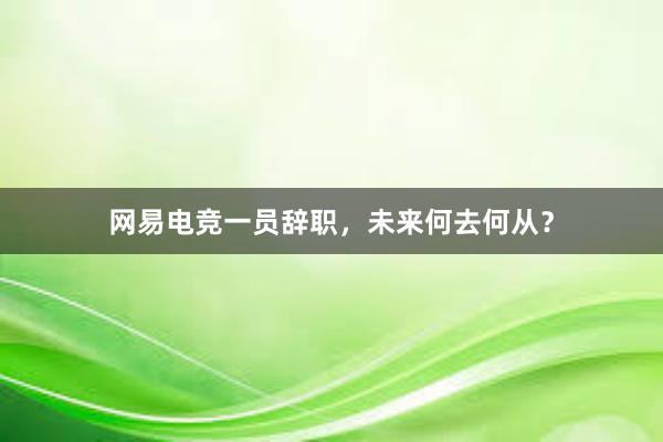 网易电竞一员辞职，未来何去何从？