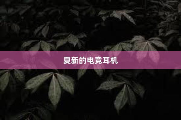 夏新的电竞耳机