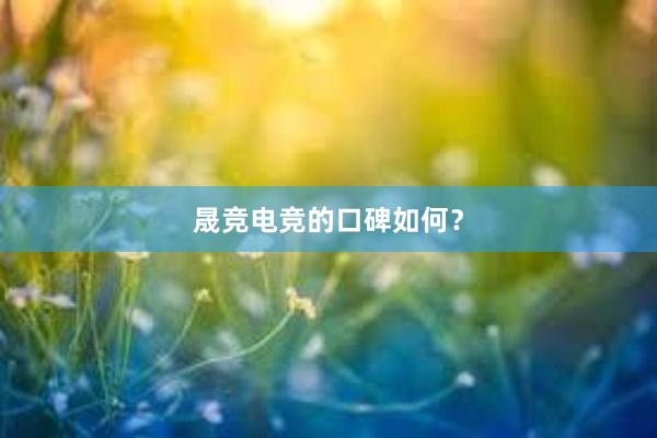 晟竞电竞的口碑如何？