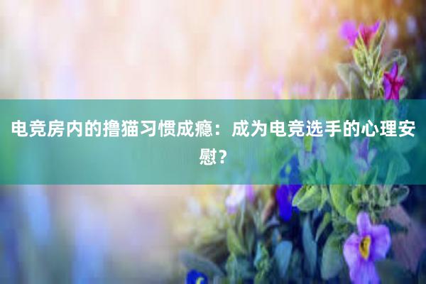 电竞房内的撸猫习惯成瘾：成为电竞选手的心理安慰？