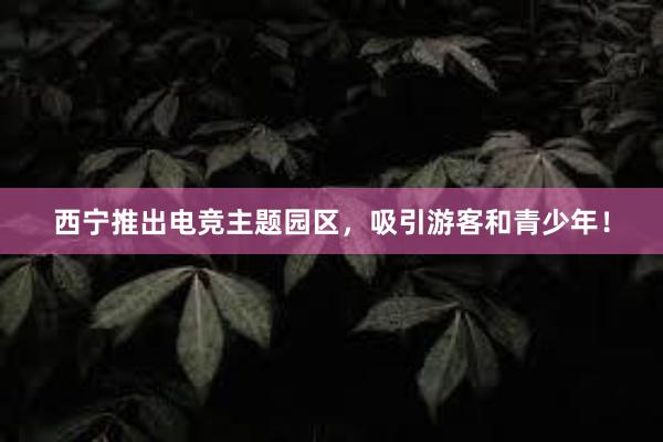 西宁推出电竞主题园区，吸引游客和青少年！