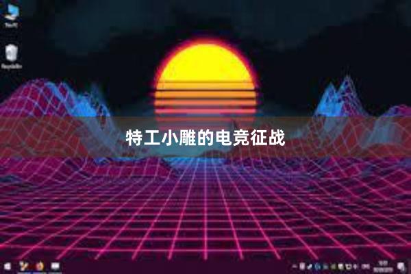 特工小雕的电竞征战